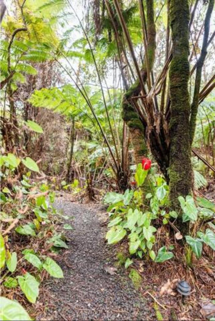 Hale Kumu La'Au- A'A Villa Volcano Ngoại thất bức ảnh